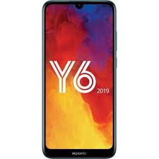 Y6 2019