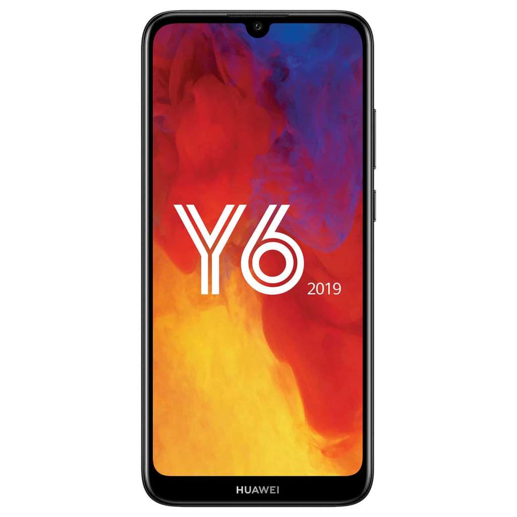 Y6 2019